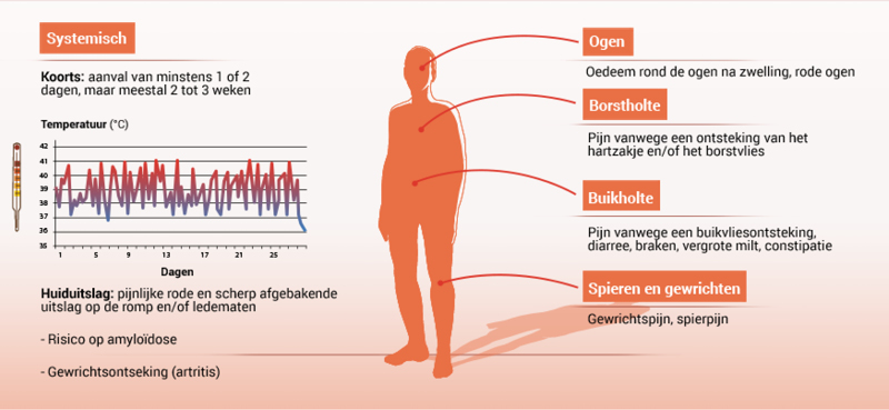 Afbeelding met mogelijke symptomen van HIDS/MKD1, 3-4, 7-8